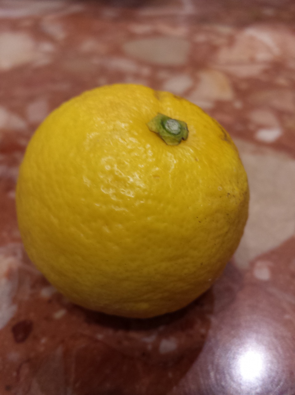 �c�t������A