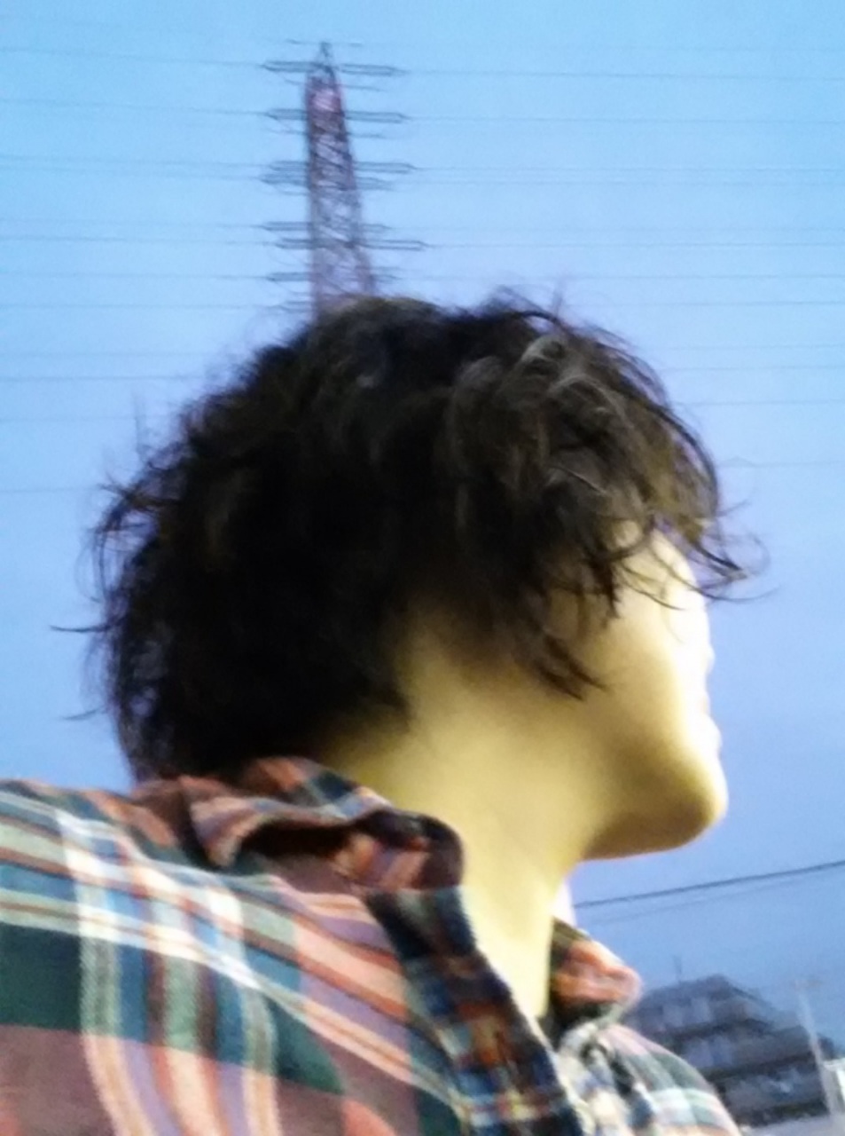 �^�N���B���Ă���Ă����[