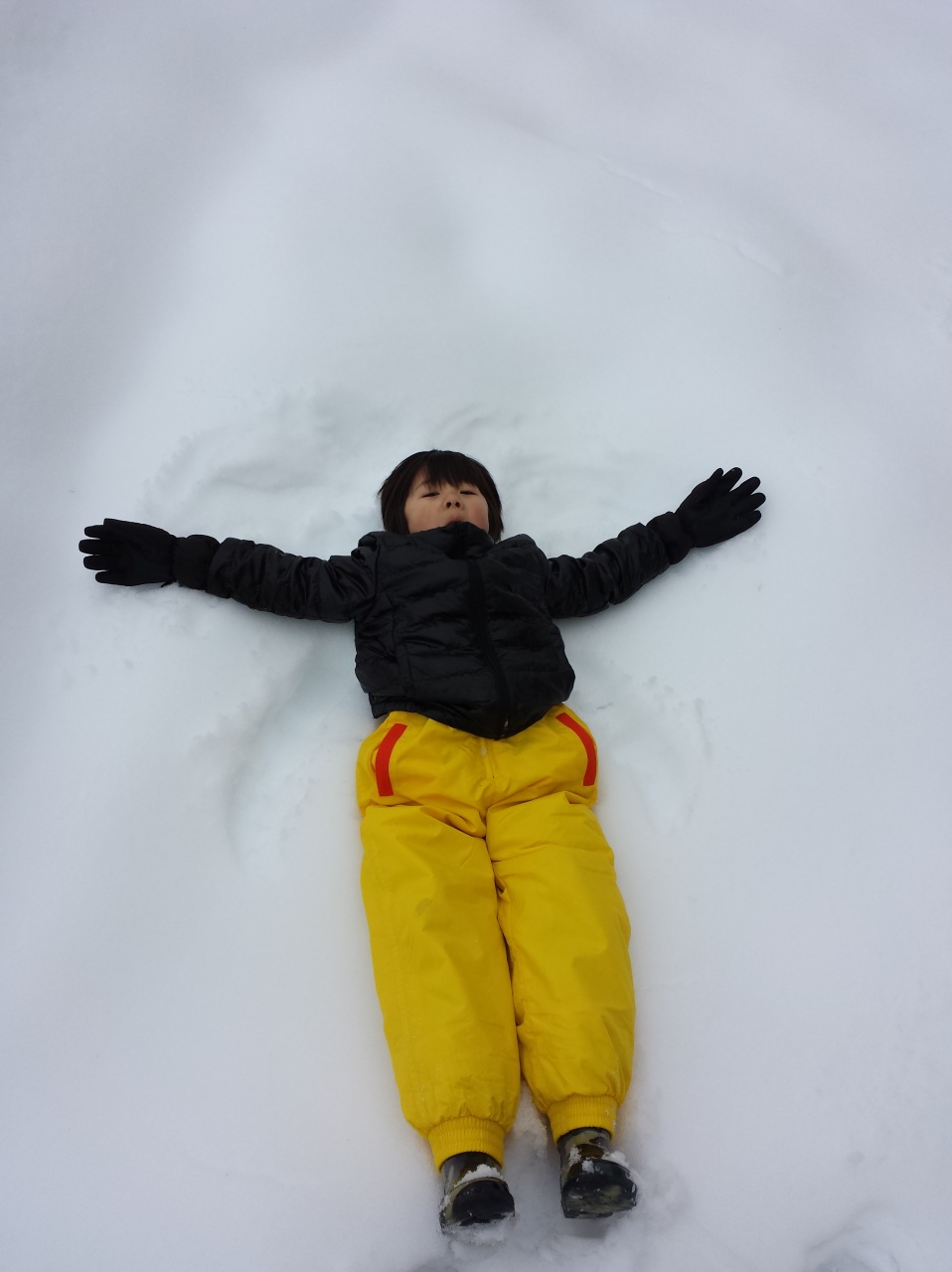 �y���������[�_(^-^)�^