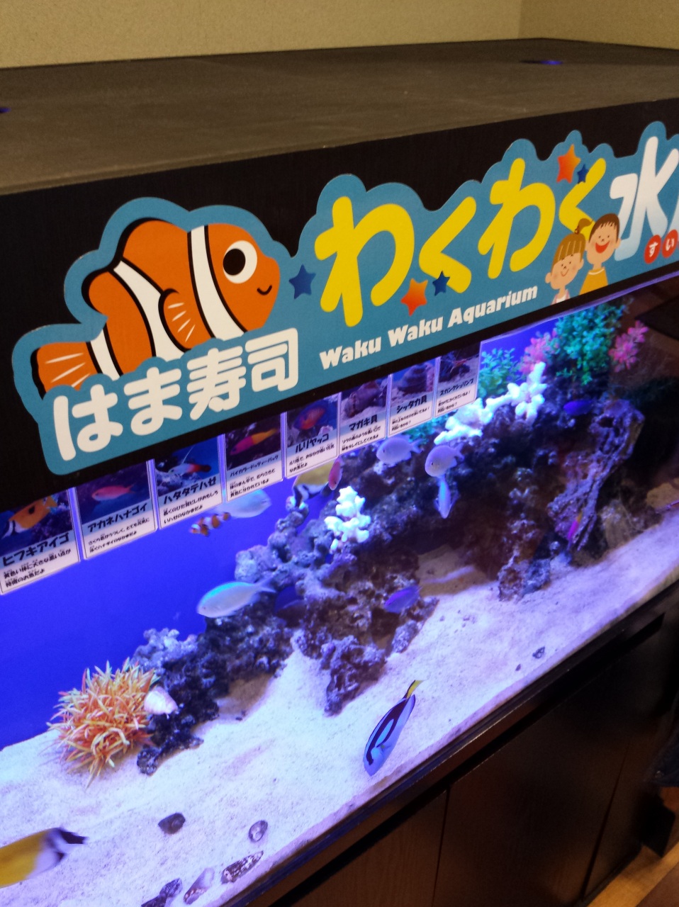 �v���Ԃ肾��