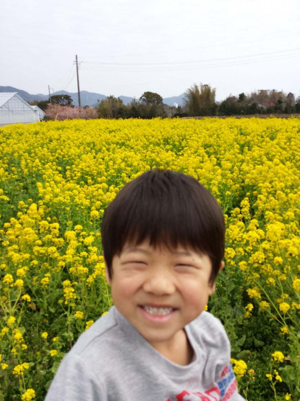 �t����