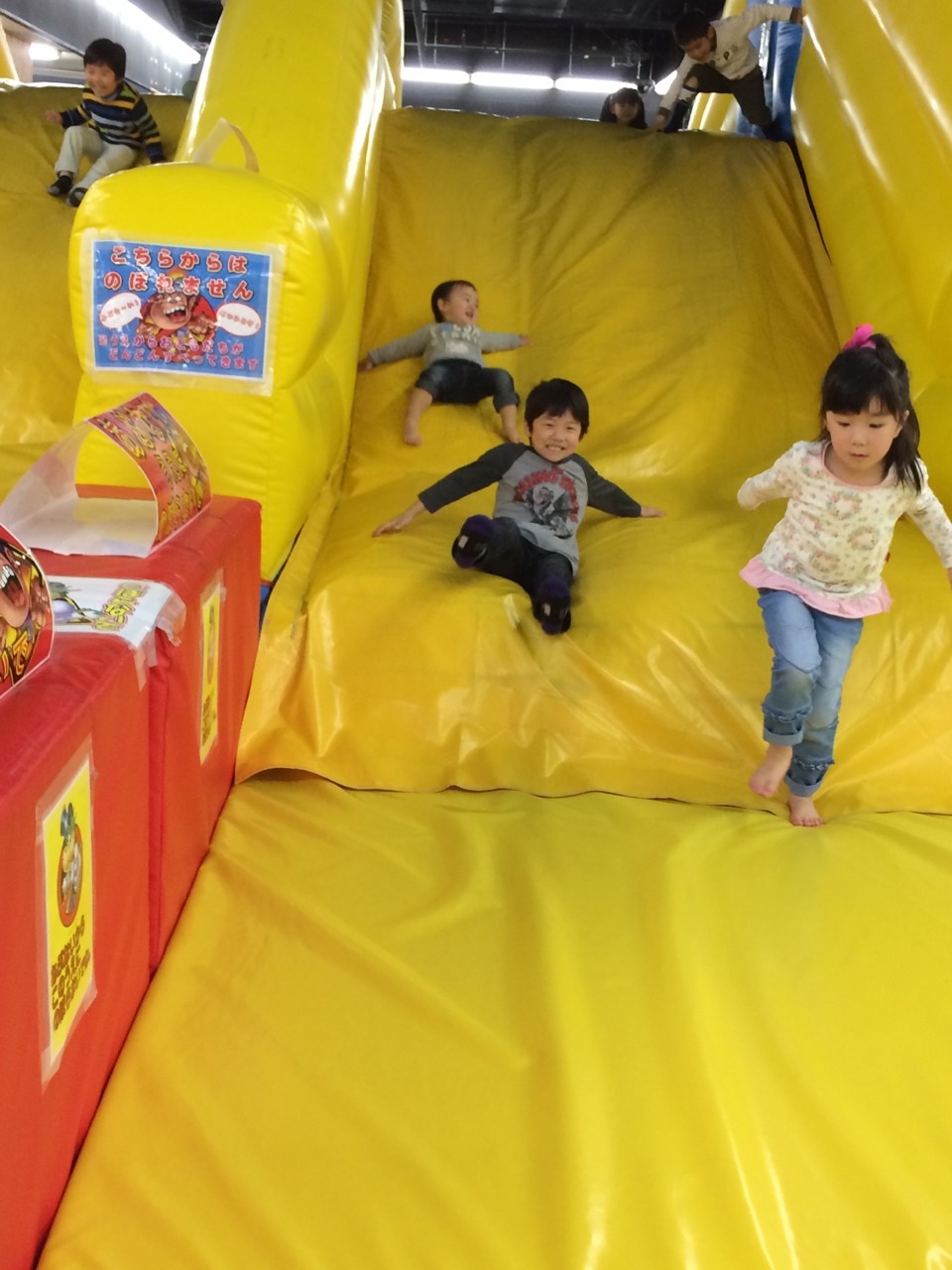 �y�������I