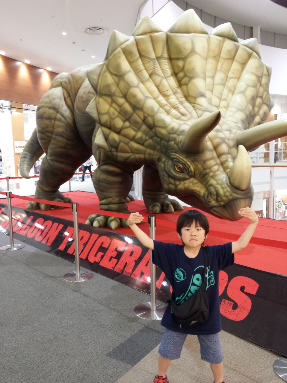 �g���P���g�v�X