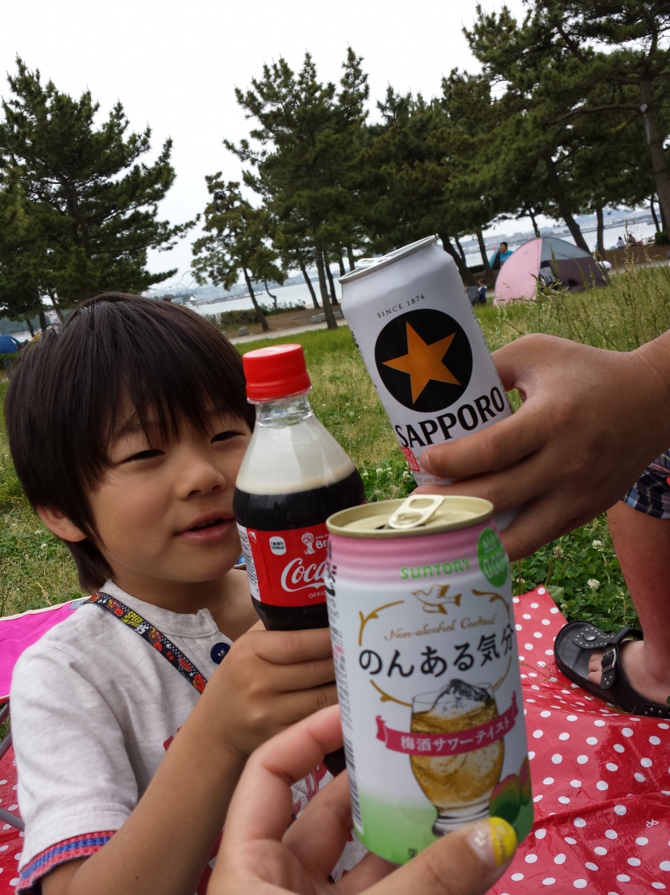 �J���p�[�C�I