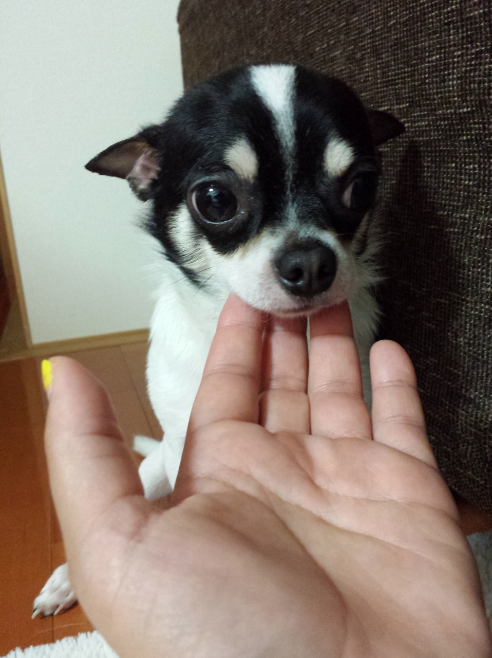 �݂邭