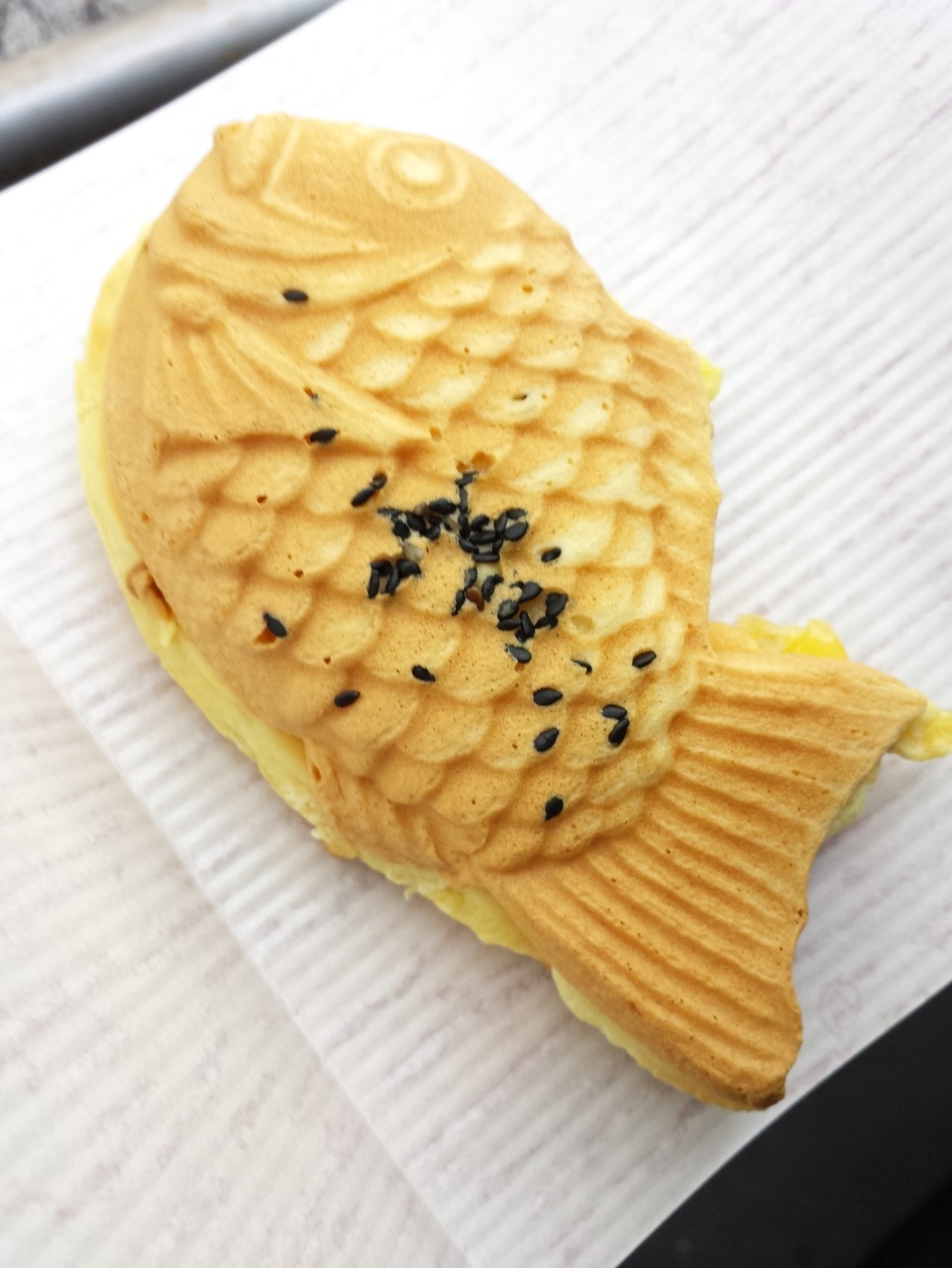 ���f�B�ɗ�����A�����R��
