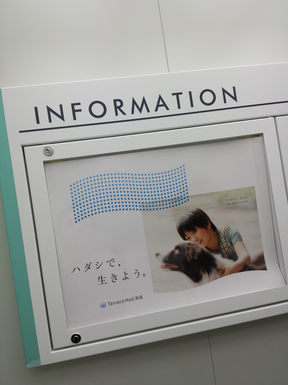 �v���Ԃ�Ƀp�p�ƁI