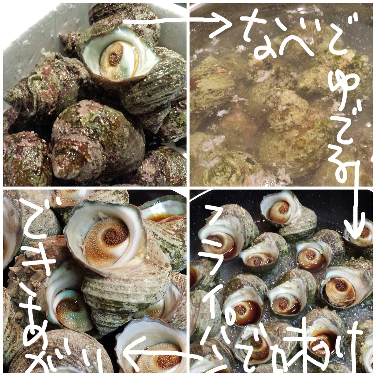 �c��̃T�U�G���ǂ��ɂ����Ȃ��ƁI