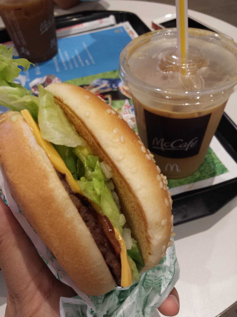 B�k�o�[�K�[���Q��(��)