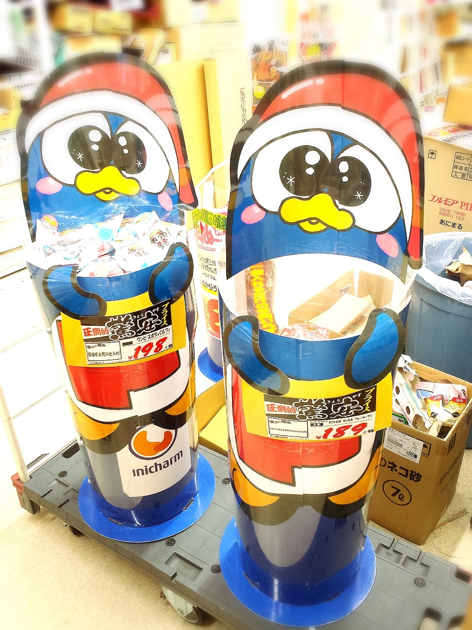 �쐬