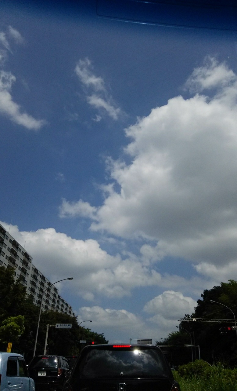 �Y��ȋ�