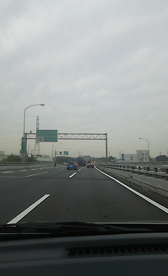 �ǂ���ǂ悤�сB